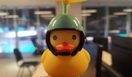 娱乐爆料小黄鸭事件是真的吗,娱乐爆料真相揭秘